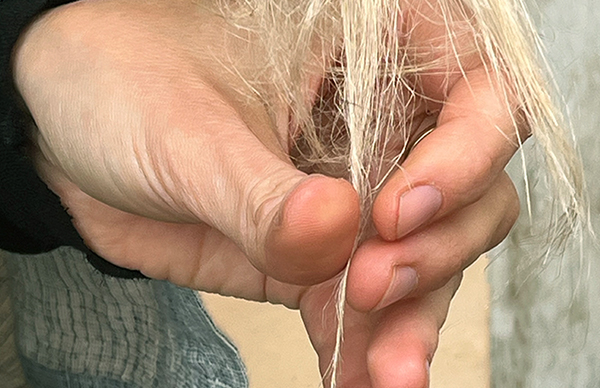 VILD MED OMTANKE - Sprang - oldtidens håndværk